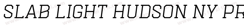 Slab Light Hudson NY Pro字体转换